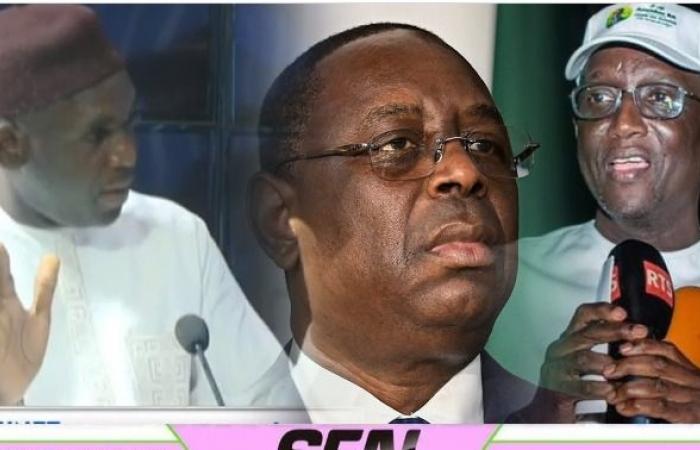 Nunca antes visto, Adama Faye finalmente revela el verdadero problema entre Amadou Ba y Macky Sall. ¡Mirar!