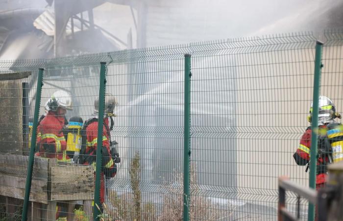 “Estamos derrumbados, pero nos levantaremos”: un incendio asola los talleres de Kuku la praliné en Lons