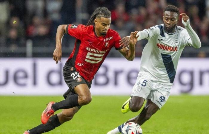 Estadio Rennais-Toulouse. Un partido realmente diferente a cualquier otro.