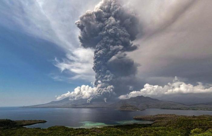 El Papa espera que la COP29 sea eficaz para proteger la Casa común