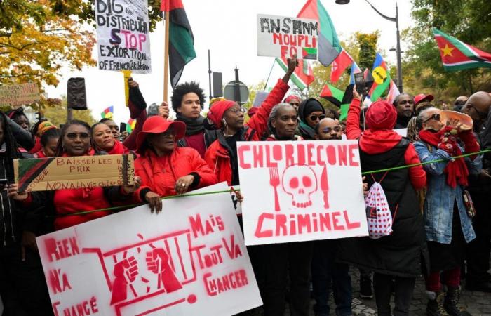 Miles de manifestantes en París para denunciar el alto coste de la vida en el extranjero