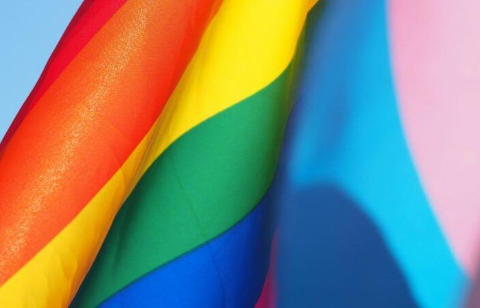 la vida cotidiana de las personas LGBTQ+, descrita como una comunidad extremista · Global Voices en francés