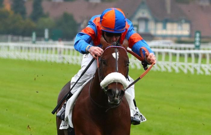 Saint-Cloud: Las promesas de Dynamitic