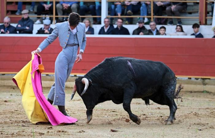 la Fiesta campera a achevé la temporada 2024