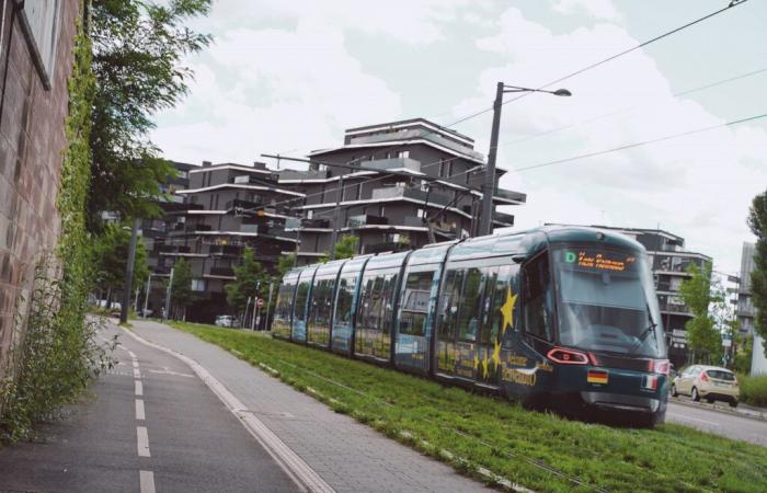 El CTS refuerza su línea D para llegar hoy a Alemania