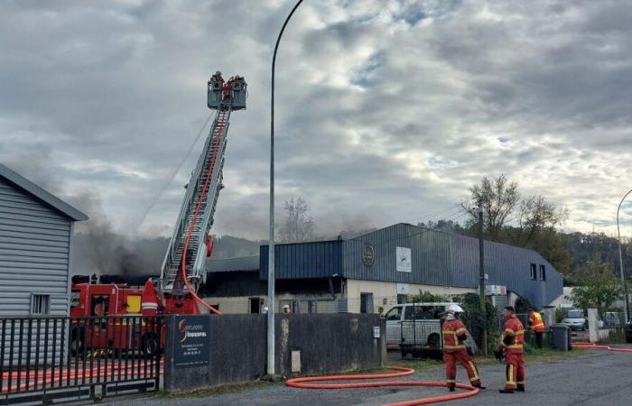 Lons: “simplemente lloramos”, los pasteleros abatidos tras el incendio que destruyó su almacén