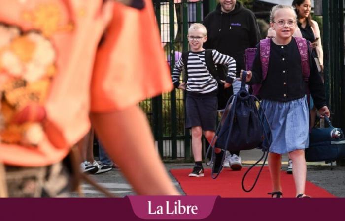 El ministro flamenco de Educación, Zuhal Demir (N-VA), toma una decisión bastante desagradable