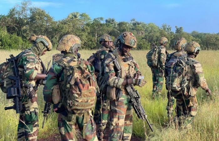 Senegal-Malí: operación anti-lavado de oro ilegal en la frontera | APAnoticias