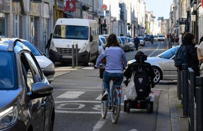 La pregunta del día. Seguridad de los ciclistas: ¿deberíamos prohibir la circulación de coches?