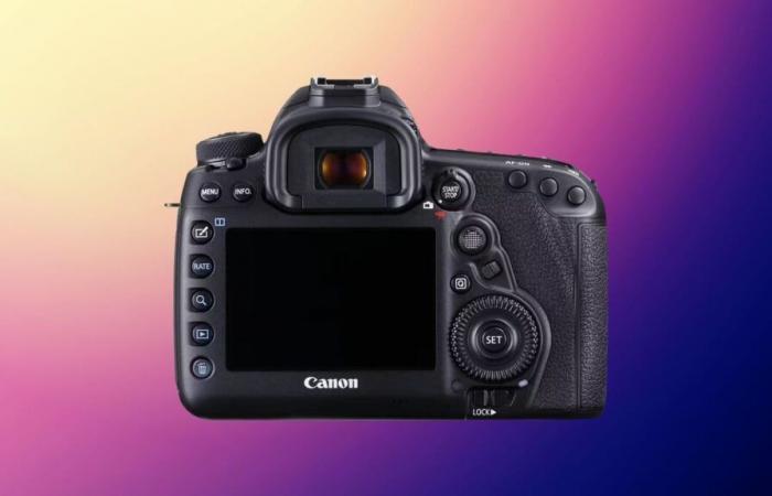 La cámara Canon EOS 5D Mark IV ve su precio reducido a la mitad este domingo