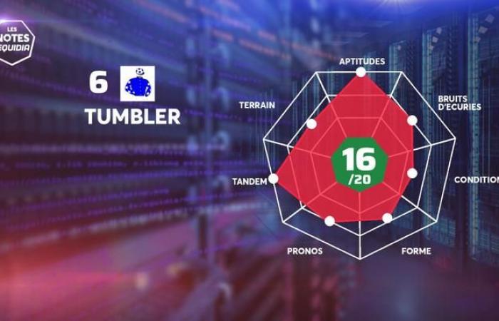 Quinté+: Las notas de los entrantes de Quinté+ para este domingo 10 de noviembre