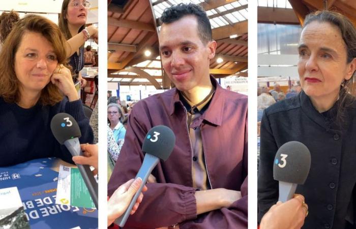 ¿Qué novedades marcaron el 2024? Le hicimos la pregunta a Gaël Faye, Amélie Nothomb y Maylis de Kerangal en la Feria del Libro de Brive