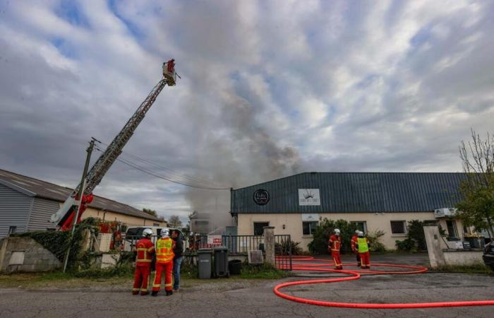 “Estamos derrumbados, pero nos levantaremos”: un incendio asola los talleres de Kuku la praliné en Lons