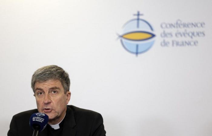 El posible viaje del Papa a Córcega es invitado a la Asamblea Plenaria de los Obispos