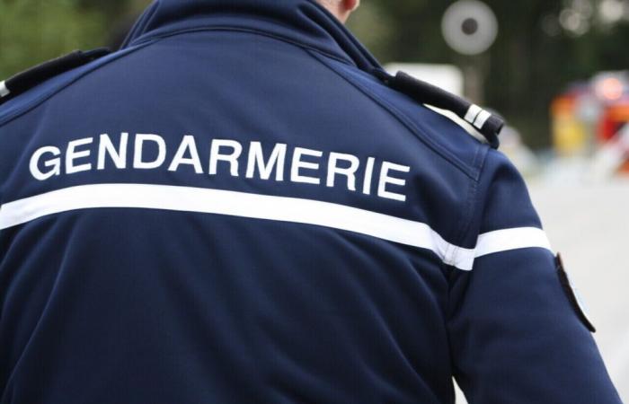 Preocupante desaparición de una niña de 12 años en Morbihan