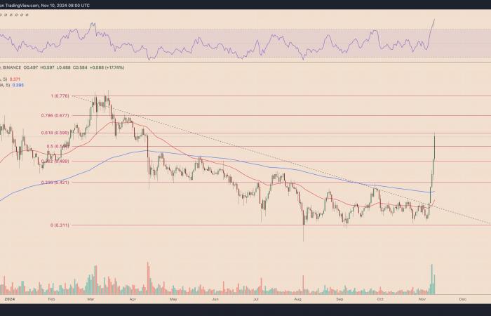 El precio de ADA aumenta un 30% en medio de rumores de colaboración entre el fundador de Cardano y Trump