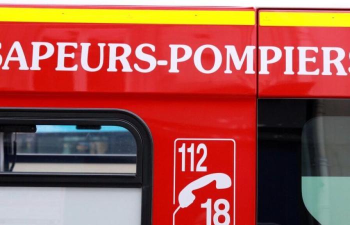 Incendio en un emplazamiento de alto umbral de Seveso, cerca de Rennes, controlado