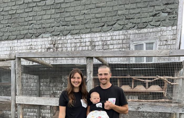 Amor a primera vista en el parque para perros | De La Petite-Patrie a Gaspésie