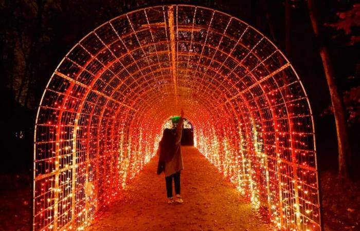 La finca Saint-Cloud se viste de luces para un nuevo festival deslumbrante