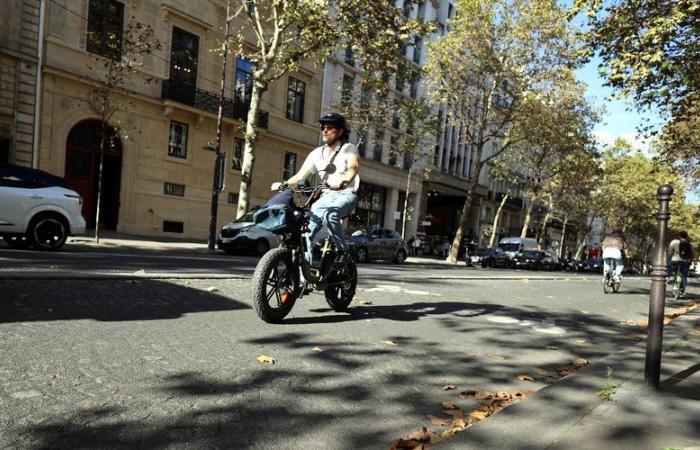 Era una figura “emblemática” apodada “el hombre de azul”: un ciclista de 74 años muere al ser atropellado por un auto