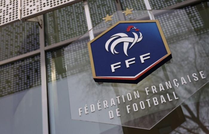 Diallo y Samsonoff, dos candidatos a un puesto en la FFF