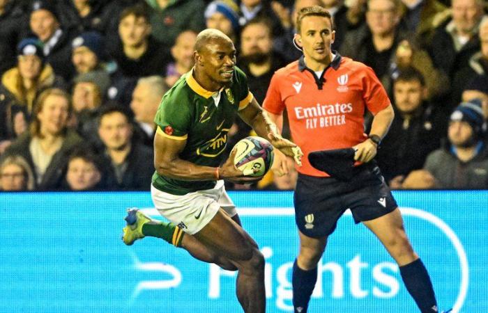 Gira de otoño de 2024: clasificación de World Rugby: Sudáfrica toma la delantera, Irlanda pierde dos lugares, Francia cuarta