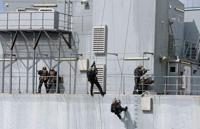 “¿Crees que fuiste discreto? ¿Crees que estuviste en la piscina?”, inmersión en el corazón de los comandos de la Marina en entrenamiento.