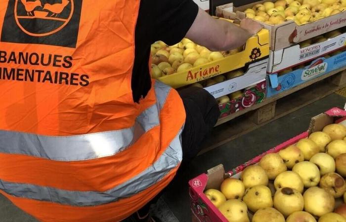 El Banco de Alimentos de Morbihan muestra el día a día de sus voluntarios este martes