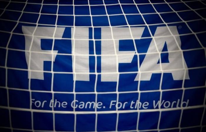 Amnistía Internacional pide a la FIFA “interrumpir” el proceso de adjudicación del Mundial 2034 (Fútbol)