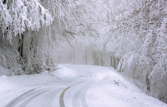 Alerta meteorológica – Altos Pirineos, Pirineos Atlánticos, Ariège y Alto Garona en alerta amarilla por nieve y hielo el martes 12 de noviembre