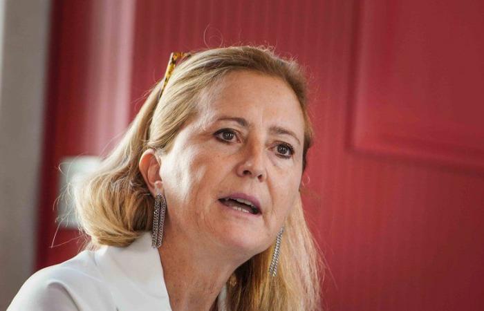 “Se abrirá una mediateca temporal en Pissevin en la primavera de 2025”, según Sophie Roulle, asistente cultural de la ciudad de Nimes