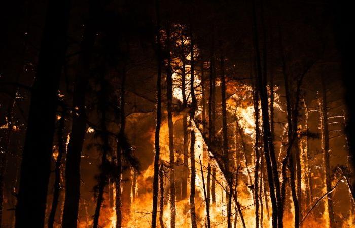 Causa del incendio forestal de Nueva Jersey: un hombre ha sido acusado de incendio provocado en relación con un incendio forestal