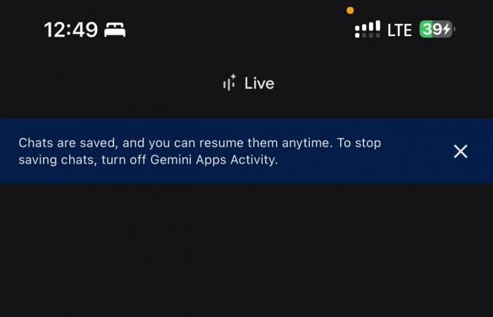 Aplicación independiente ‘Google Gemini’ detectada para iPhone con Live