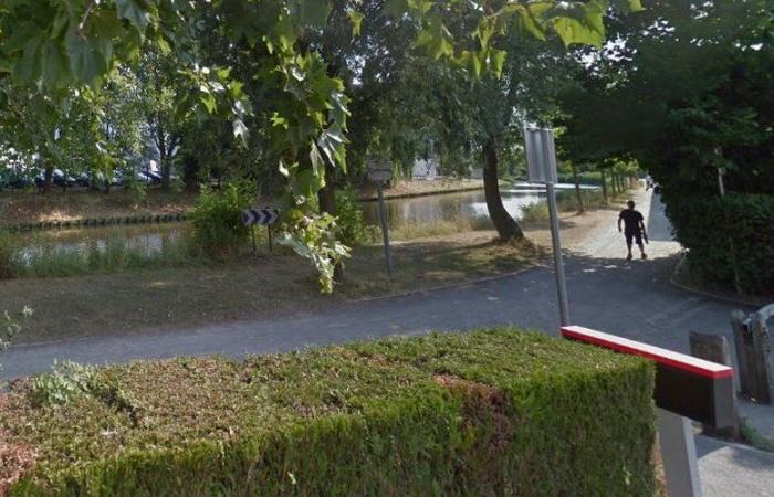 Paseaba al perro de un amigo por un canal: un hombre de 58 años asesinado a puñaladas, podría ser un acto gratuito