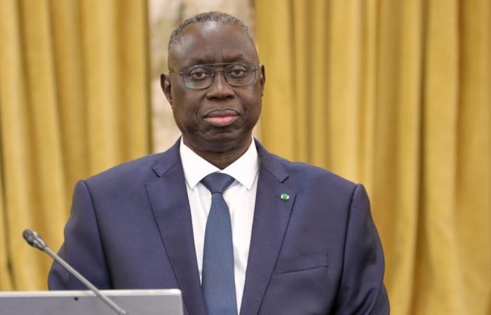 Senegal/Legislativo: el Ministro del Interior reitera su llamado a la calma | APAnoticias