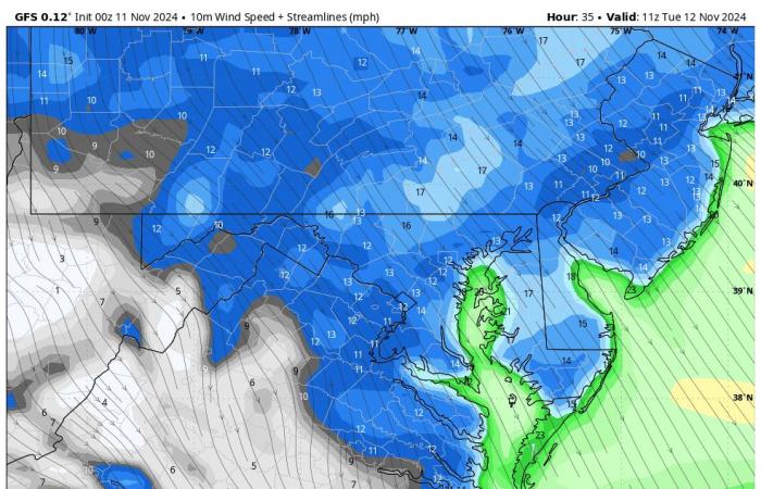 11 de noviembre Día de los Veteranos El clima se aclara y luego hace frío a mitad de semana