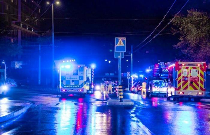 Enfermo, excéntrico, habría prendido fuego a las torres de Lignon