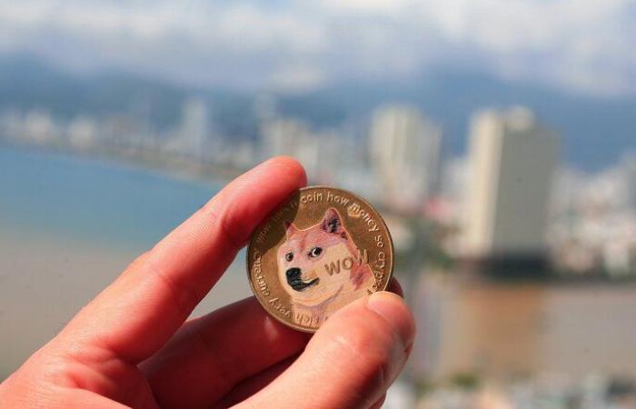 Las monedas meme con temática de perros Dogecoin, Shiba Inu y Dogwifhat amplían sus ganancias mientras persiste el repunte liderado por Trump