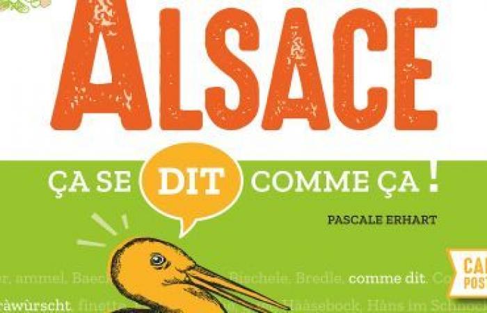 “En Alsacia se dice así”: un libro para comprender las expresiones alsacianas