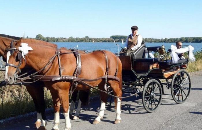 Mientras caminaba con sus nietos, André Louvigny muere en un accidente de carruaje en Bougnimont (Libramont)