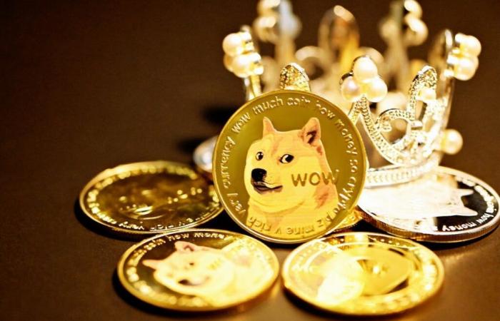 Mucho ¡Guau! Dogecoin ahora es más grande que Ford, Adidas, Lululemon, Roblox: 15 empresas que valen menos que Meme Crypto