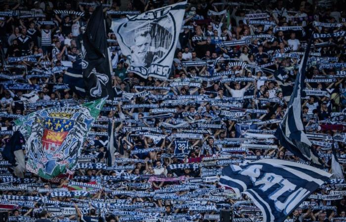 Dorian Bercheny: “Con un público así, el Girondins de Bordeaux parece simplemente inmortal”