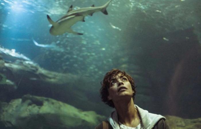 ¿París ocupada por tiburones? Netflix planea una secuela de Bajo el Sena