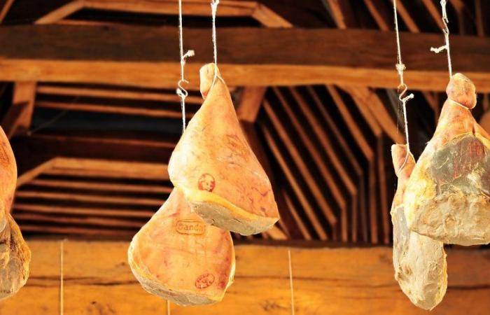 Rachida Dati se decidió por los jamones de esta catedral de Cantal, lo que agrada a esta iglesia de Puy-de-Dôme