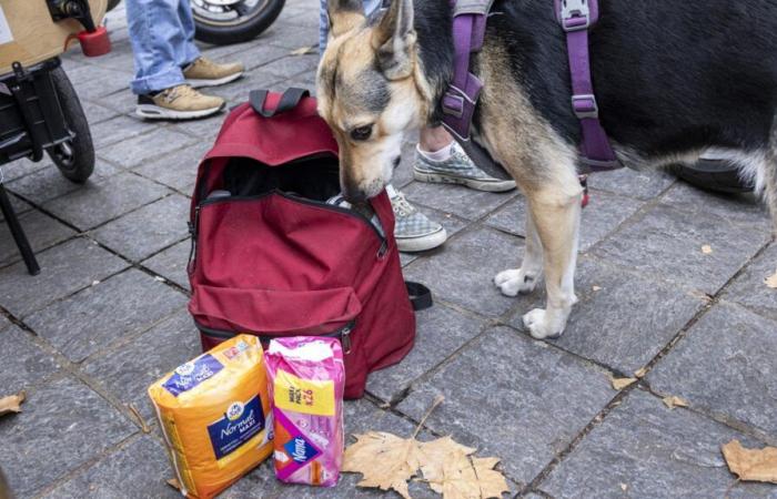 “Ser mujer en la calle siempre es más complicado”