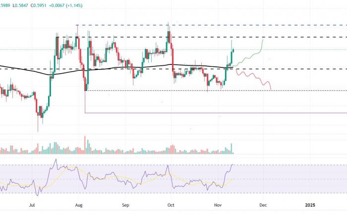 BTC alcanza un nuevo máximo histórico cerca de $81,800