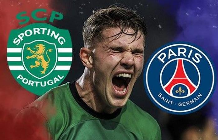 Mercato PSG: ¡Sporting Portugal abre la puerta a Viktor Gyökeres! – Transferencias