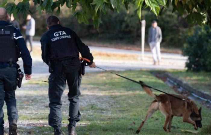 Desaparición inquietante: un estudiante buscado en Doubs: Noticias