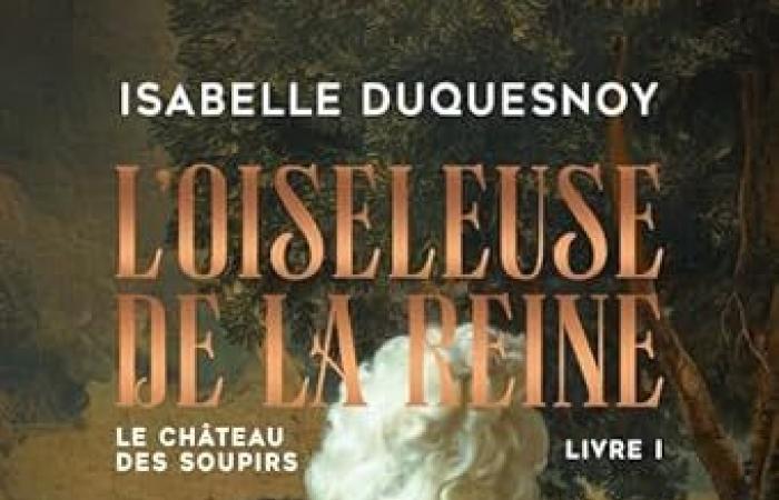 El castillo de los suspiros, libro 1 Isabelle Duquesnoy