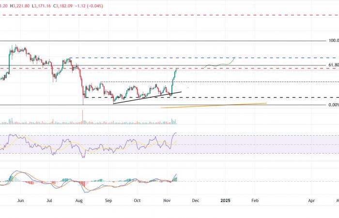 BTC alcanza un nuevo máximo histórico cerca de $81,800